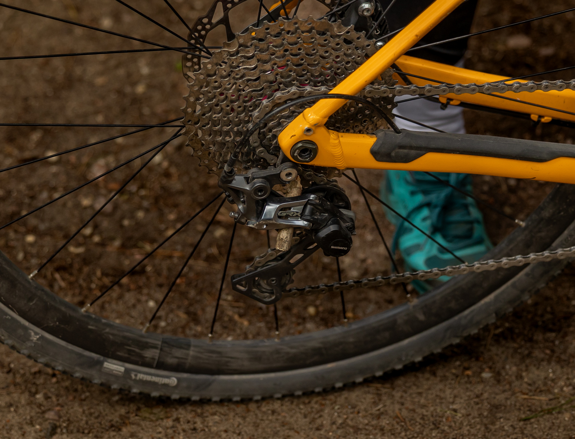 Ułan Galop 2025 144